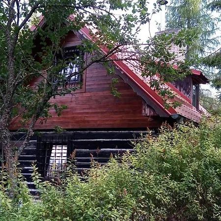 Baby Bear * Hrabušice